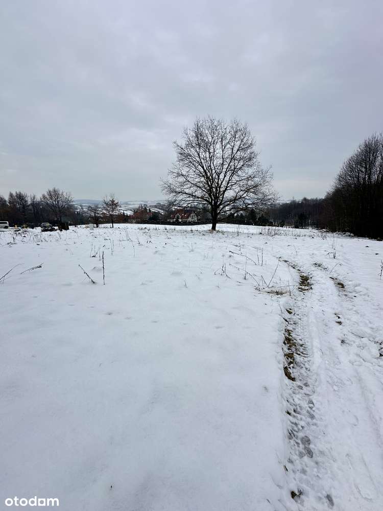 Duża działka pod lasem - Łazany blisko Wieliczki i Gdowa-8