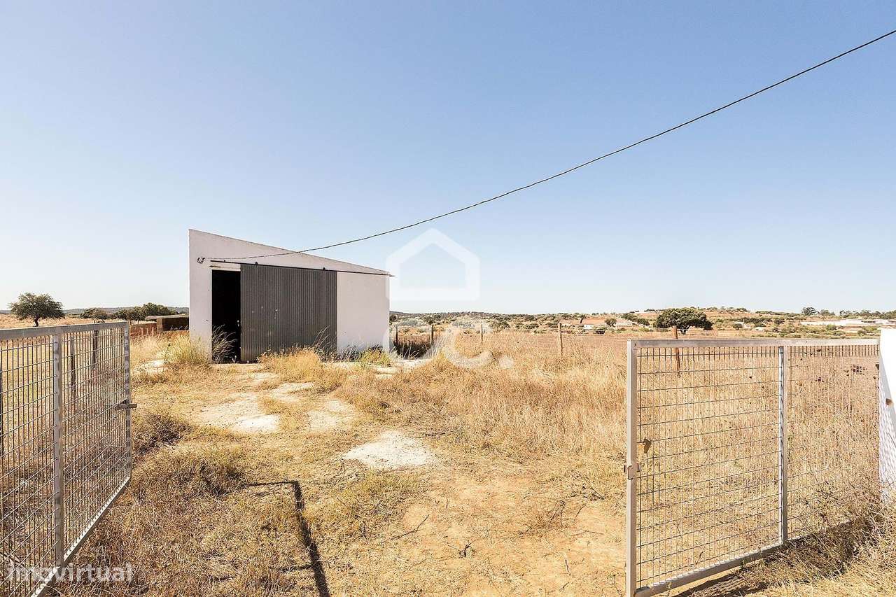 Terreno rústico de 3 hectares, com dependência agrícola, poço e tanque - Grande imagem: 4/29