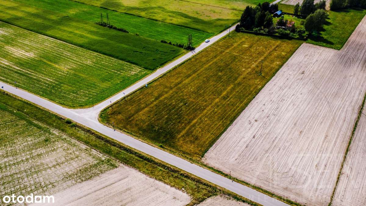 Działka z wydanym pozwoleniem na budowę | 3627 m2 - Pełny obrazek: 4/14