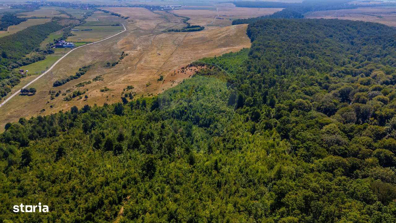 Teren 6,000mp Crizbav / Strada principala - Imagine principală: 5/9