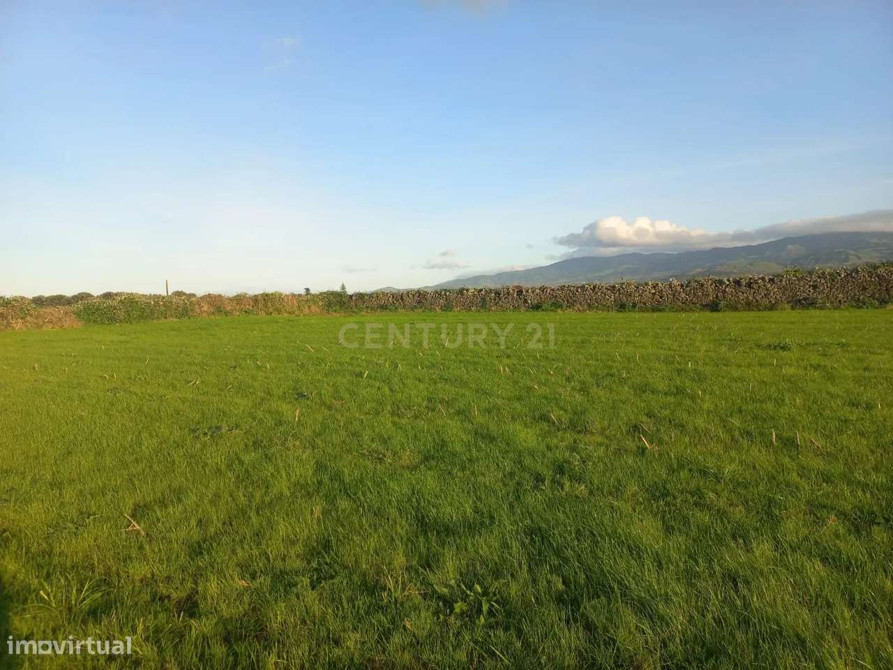 Terreno Agrícola com 13.000 m2 nas Calhetas, Ribeira Grande - Grande imagem: 4/8