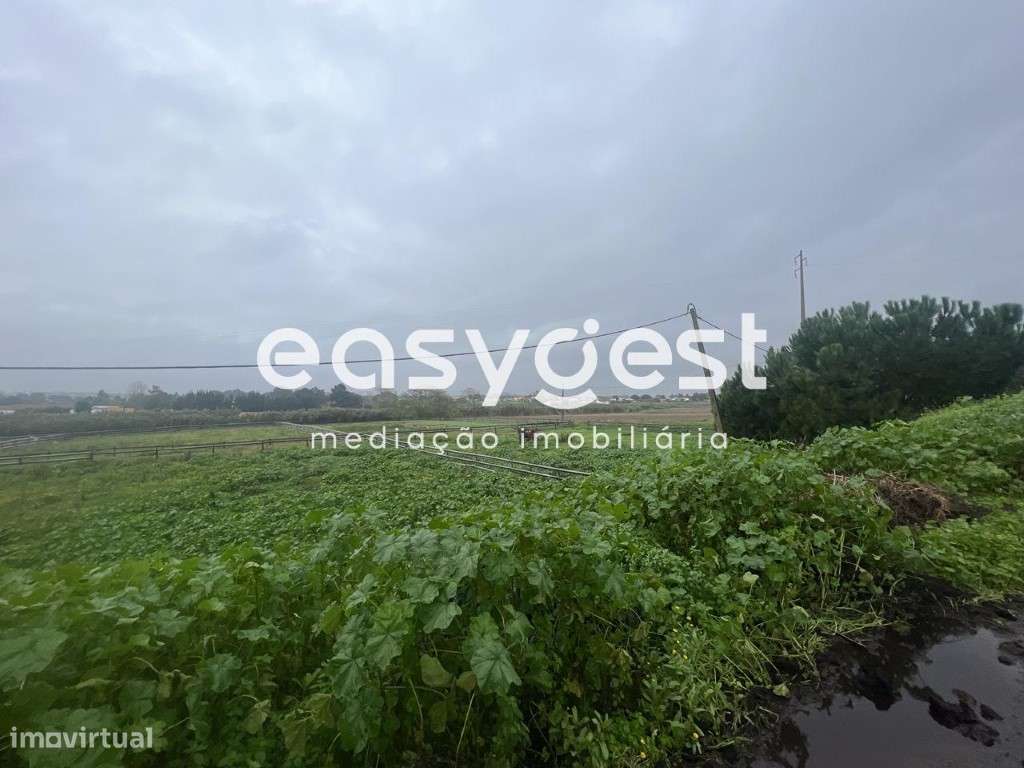 Quinta com 15ha com casa térrea, perto do centro do Pinhal Novo - Grande imagem: 5/25