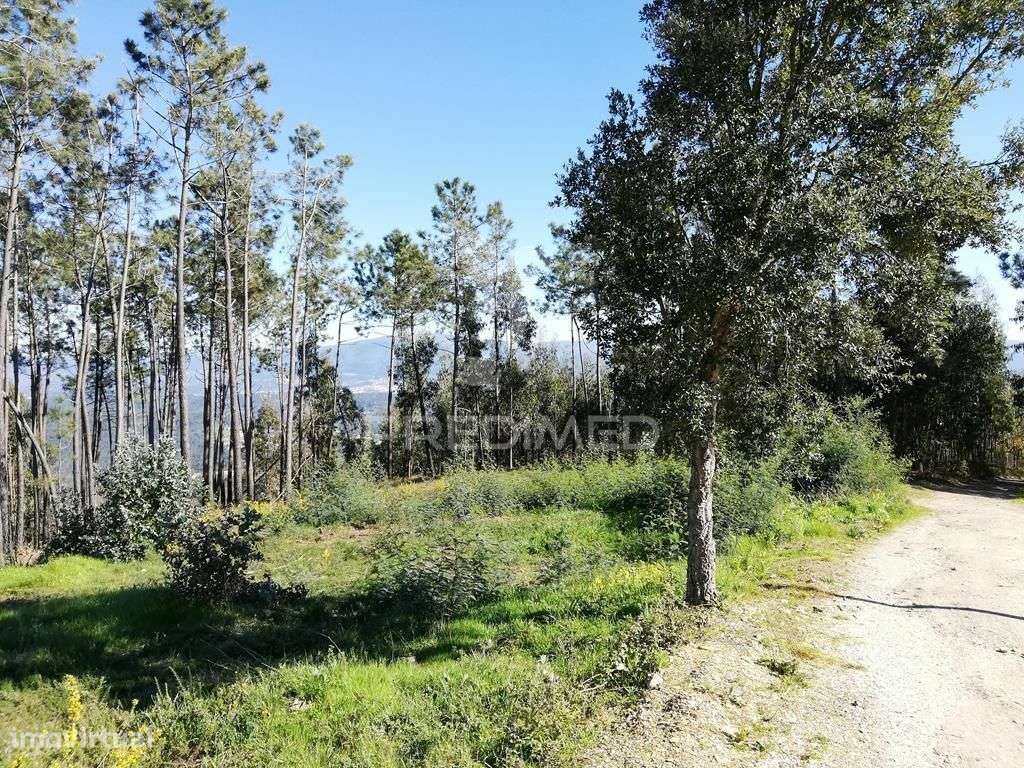 Lote de terreno  8500m2 para construção- Senhor da Serra- Semide - Grande imagem: 5/11