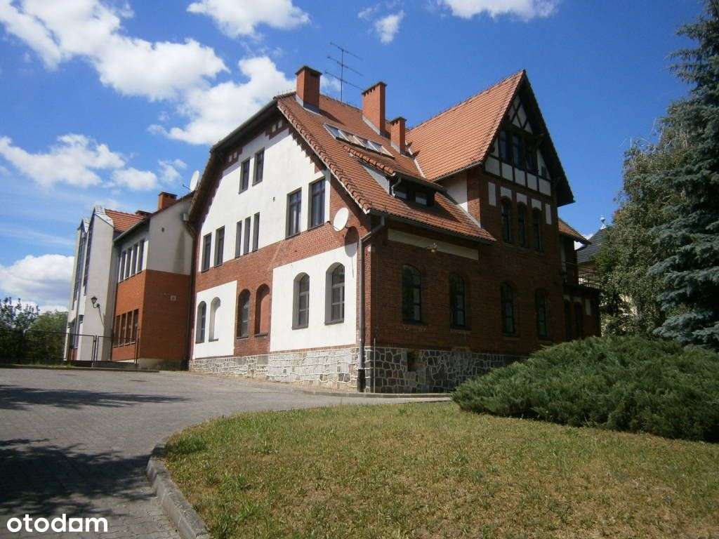 Lokal użytkowy, 1 102 m², Mogilno-1