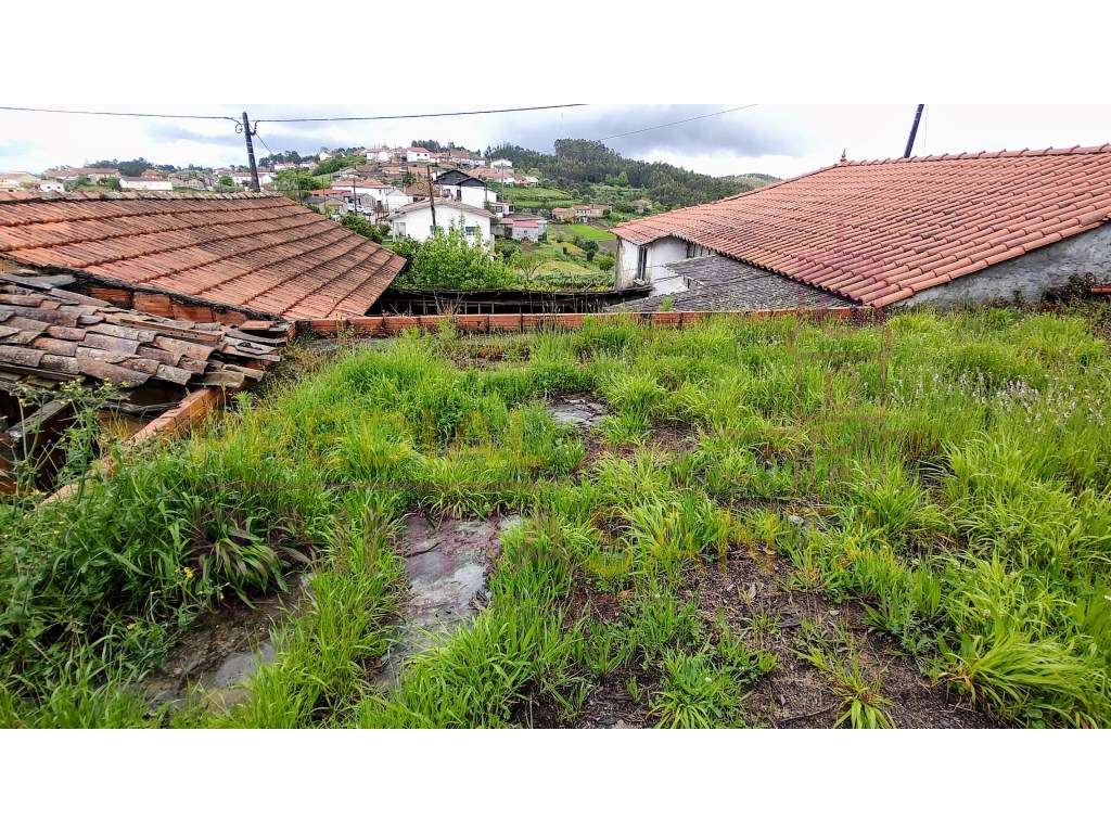 Moradia M2. Anexos-Pátio-Terreno-15 Km Coimbra - Grande imagem: 4/22