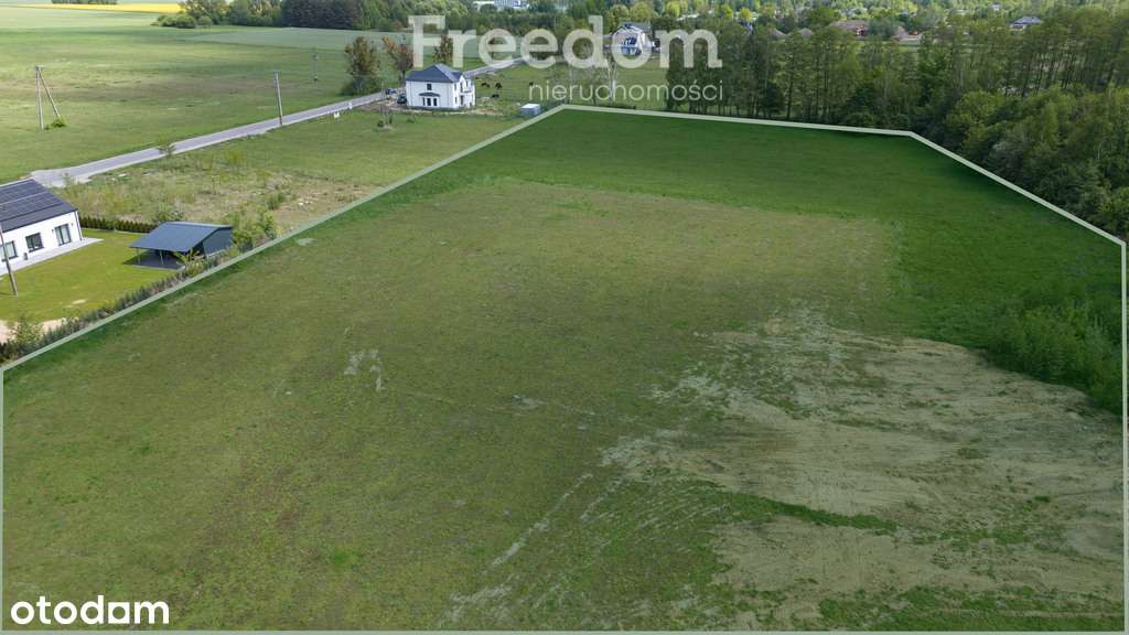 Rozwojowa działka budowlana 2,57 ha – Książenice - Pełny obrazek: 5/5