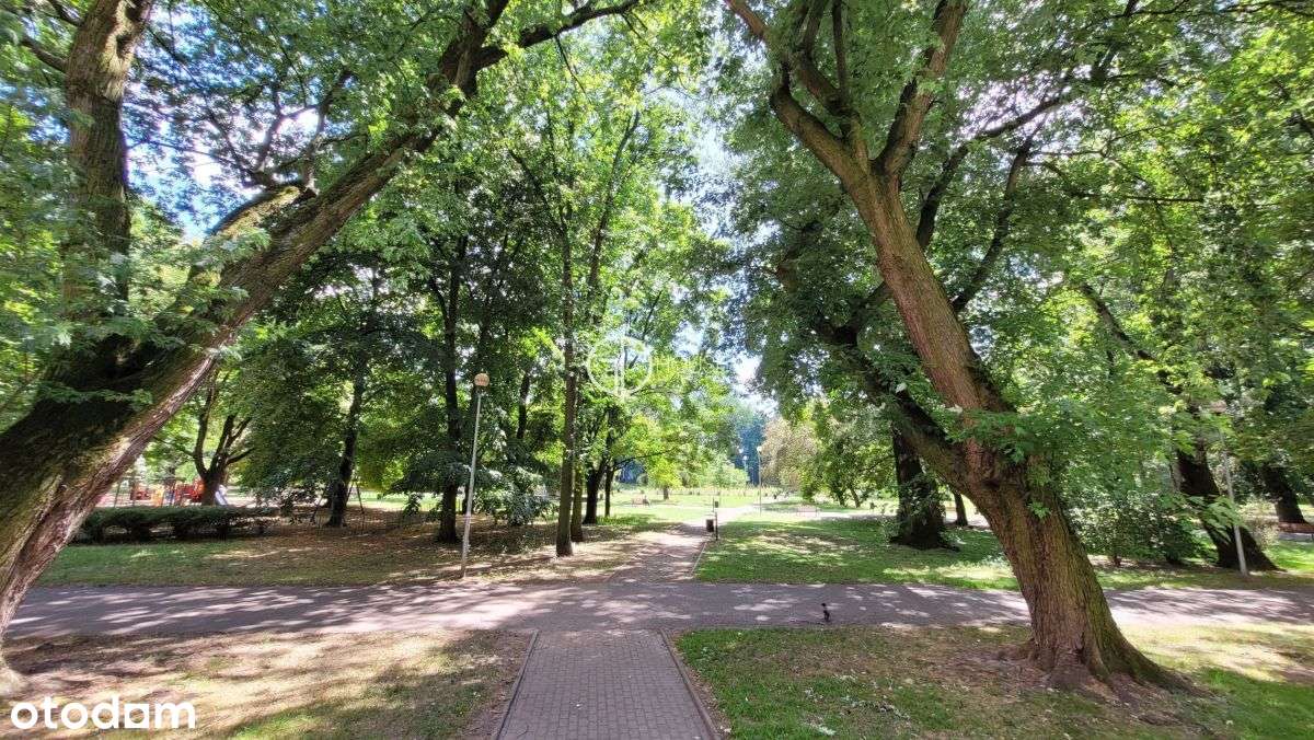 Grottgera - 3 pokoje-8