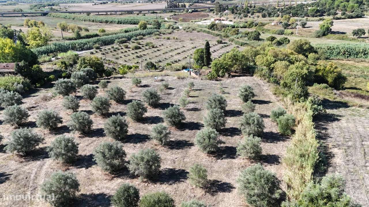 Terreno urbano com Potencial de Desenvolvimento em Santarém - Grande imagem: 4/20