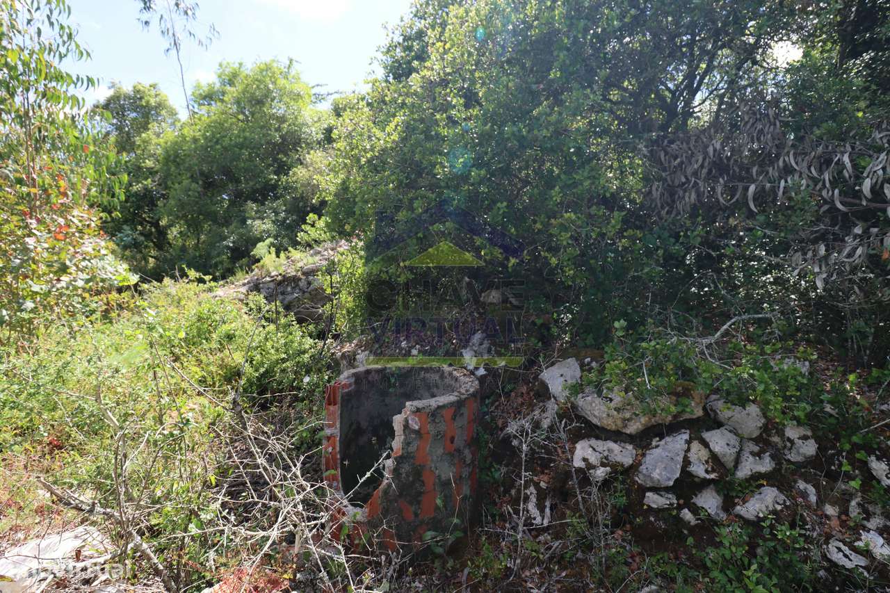 Terreno Rústico c/ 16.520 m2 Reguengo Pequeno - Lourinhã-16