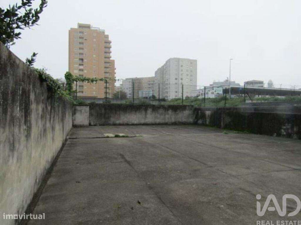 Loja / Estabelecimento Comercial em Cedofeita, Santo Ildefonso, Sé, Mi - Grande imagem: 4/13