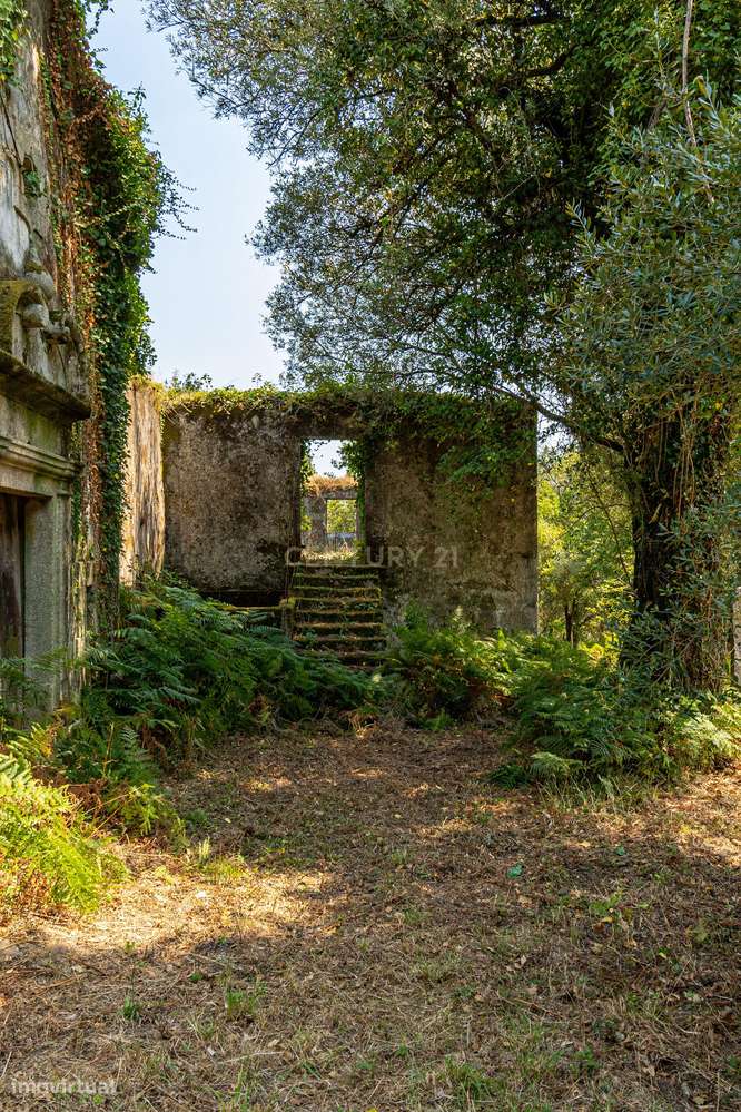 Tesouro Rural em Ponte de Lima – Quinta para Renovar com Grande Potenc - Grande imagem: 4/40