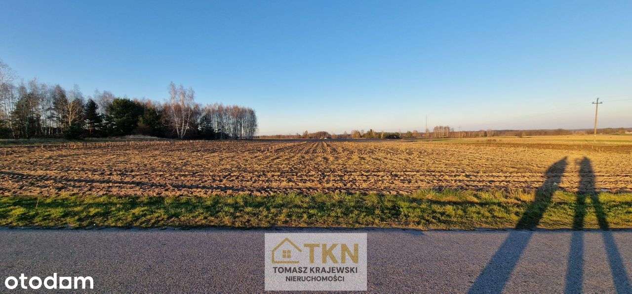 Działka budowlano-rolna 2 ha, Lipiny, gm-2