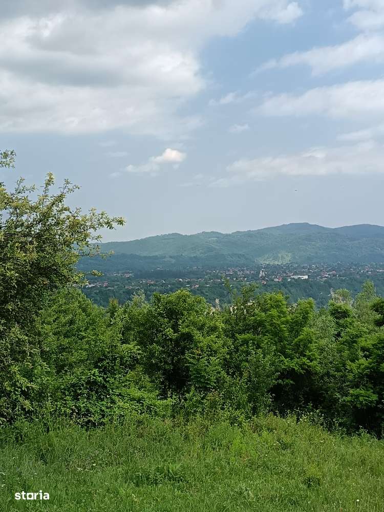 Minicartier,5 case de vacanta, Valea Prahovei, Valea Doftanei, Campina - Imagine principală: 4/20