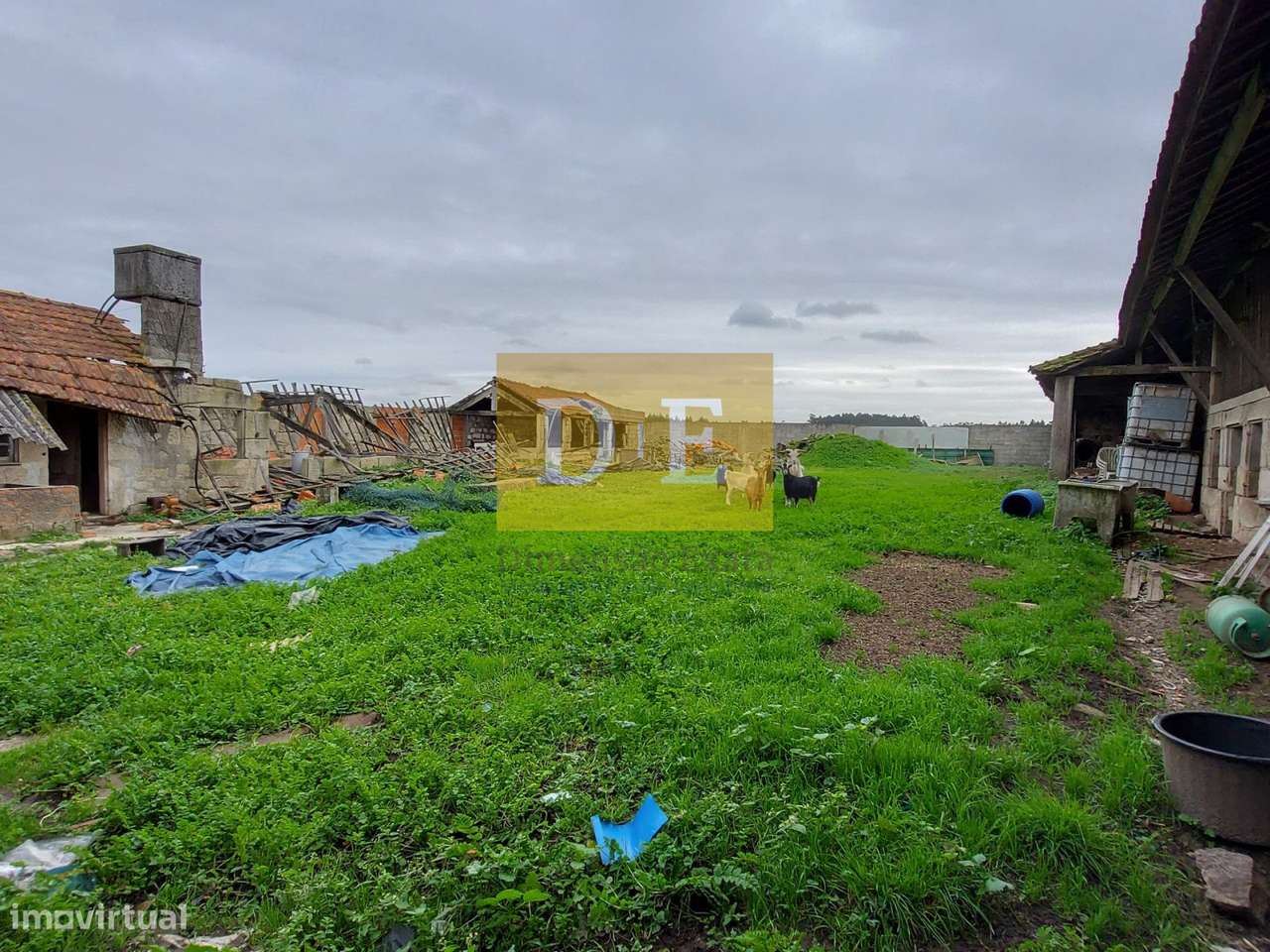 Terreno com Quinta em Fajozes – Vila do Conde-19