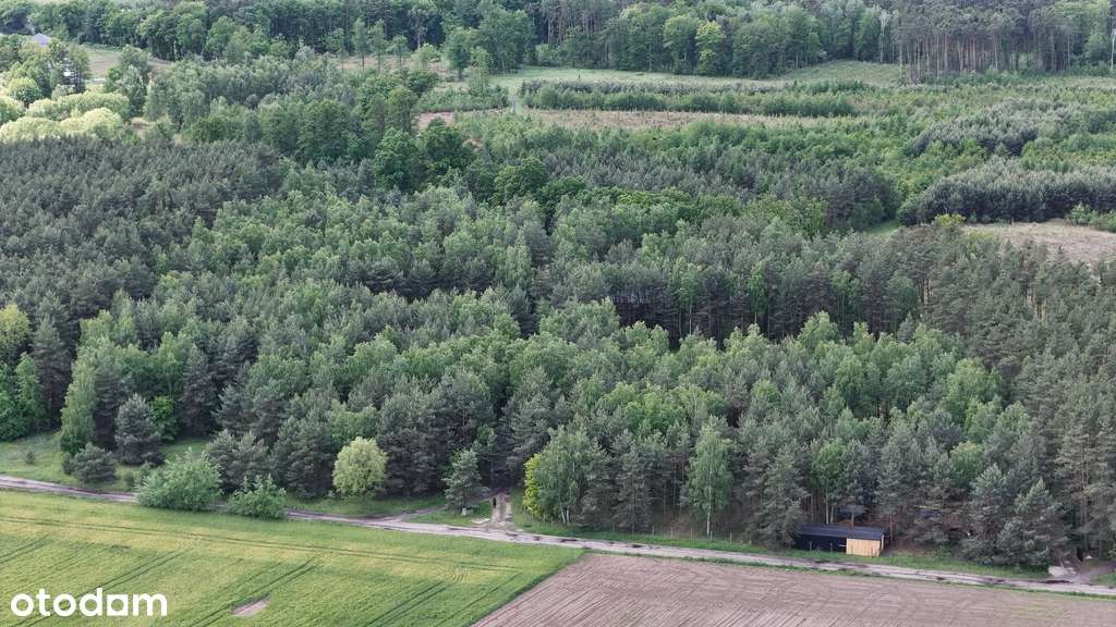 Zamieszkaj w rytmie natury – działka marzeń-5