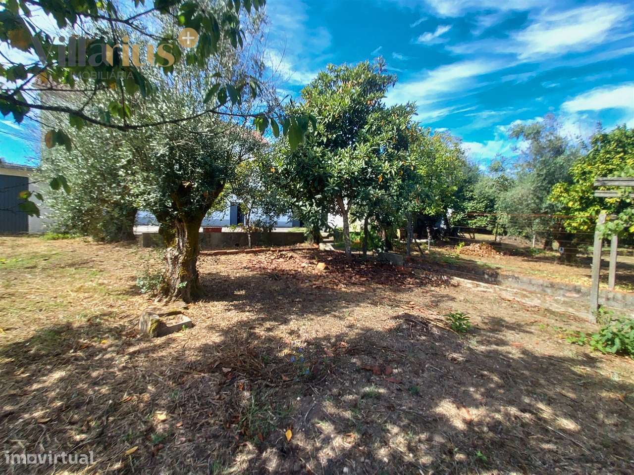 Moradia T3+1 à Venda em Tomar – Espaço e Natureza-48