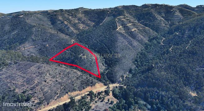 Terreno de Medronheiros para Venda na Serra de Monchique – O seu futur-3