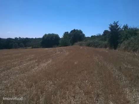 Terreno, Bragança, Vinhais - Grande imagem: 3/5