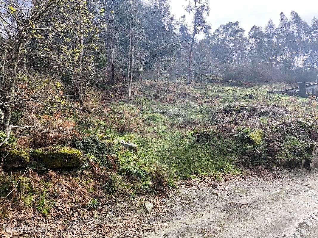 Terreno  para venda - Grande imagem: 2/11