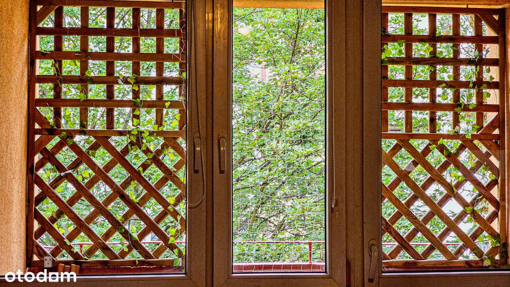 Złotów, ul. Słowackiego, 2 pokoje +balkon - Pełny obrazek: 5/14