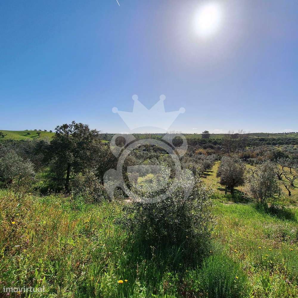 Arrecadação - Grande imagem: 5/6