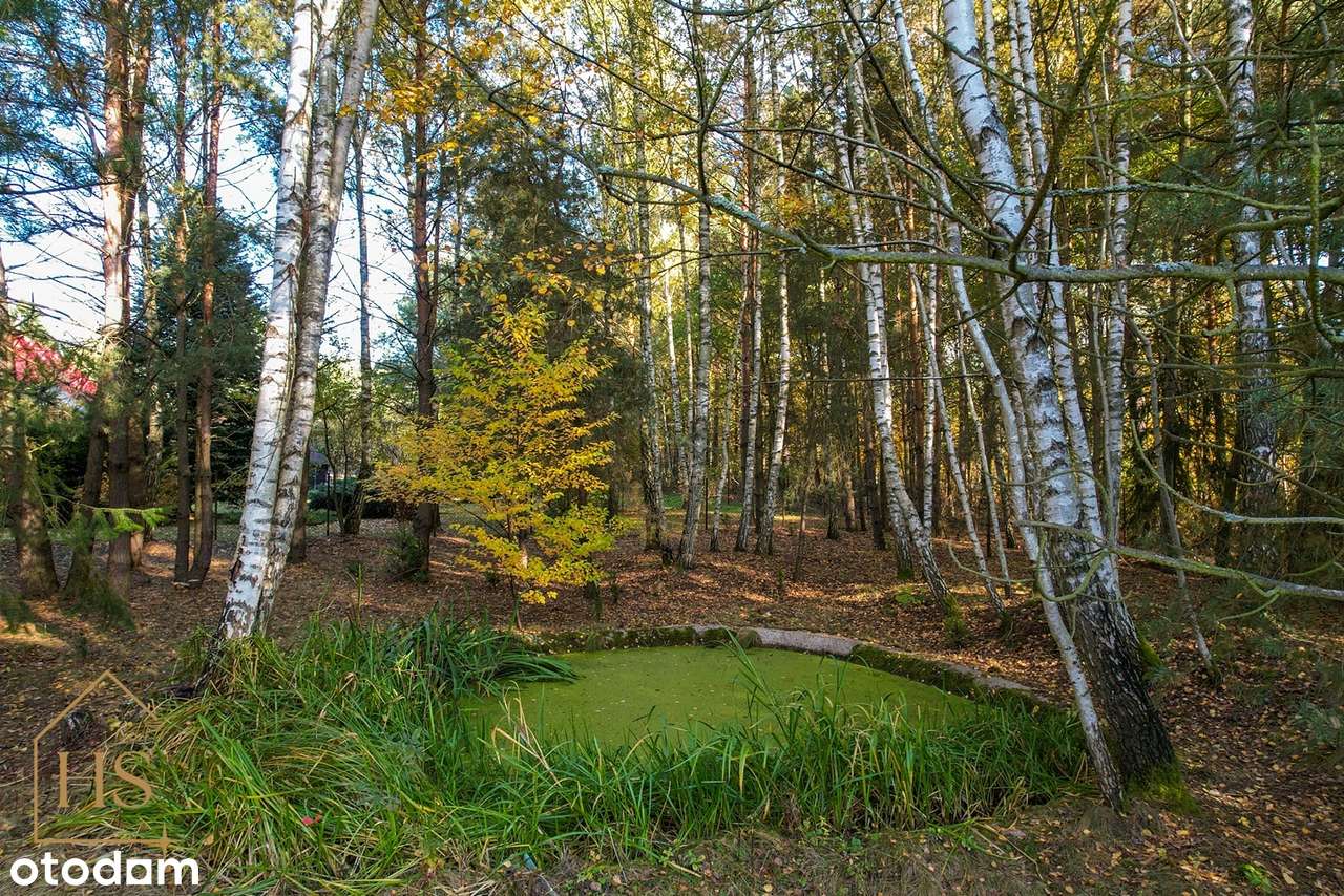 Piękna działka pod zabudowę/Zalesie gm. Żabia Wola/35 min od Wa-wy-13