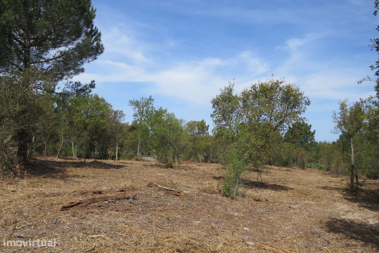 Terreno rústico de 17.000 m² em Melides-2