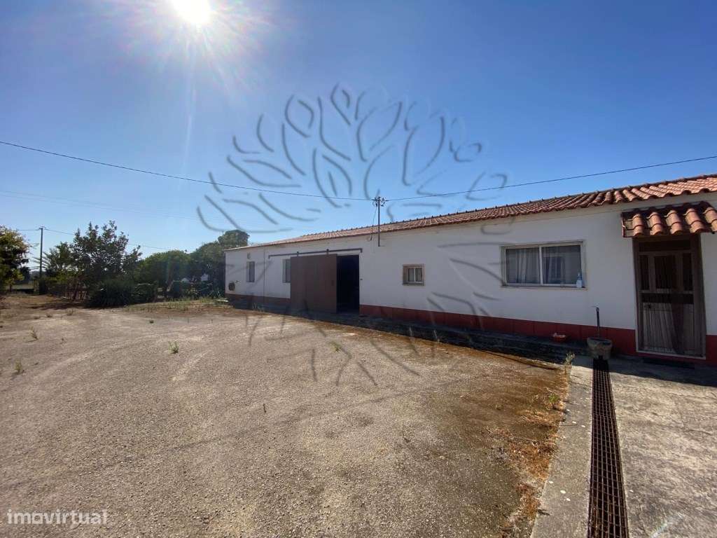 Quinta com moradia T4, Garagem, Vários anexos - Grande imagem: 5/47