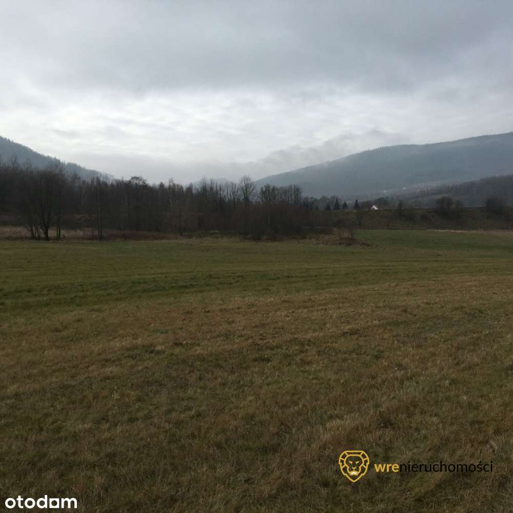 Widokowa działka inwestycyjna w Głuszycy! - Pełny obrazek: 4/8