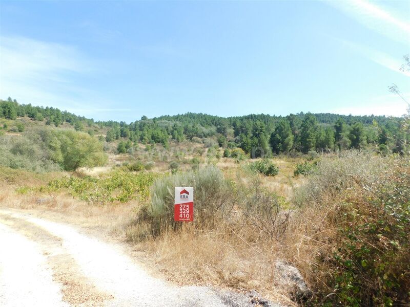 Terreno / Belmonte, Belmonte