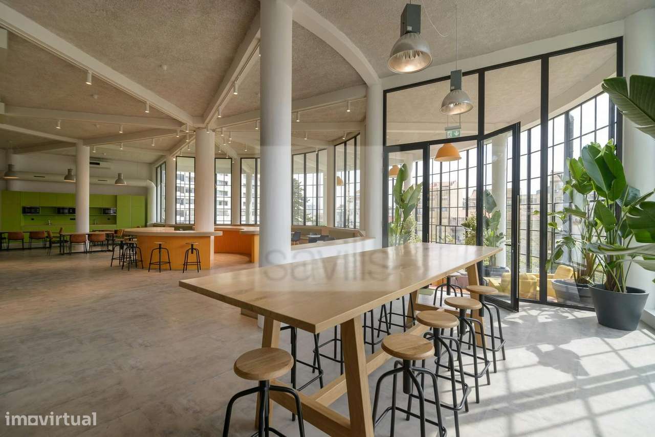 Latino Coelho 85 - Grande imagem: 3/14