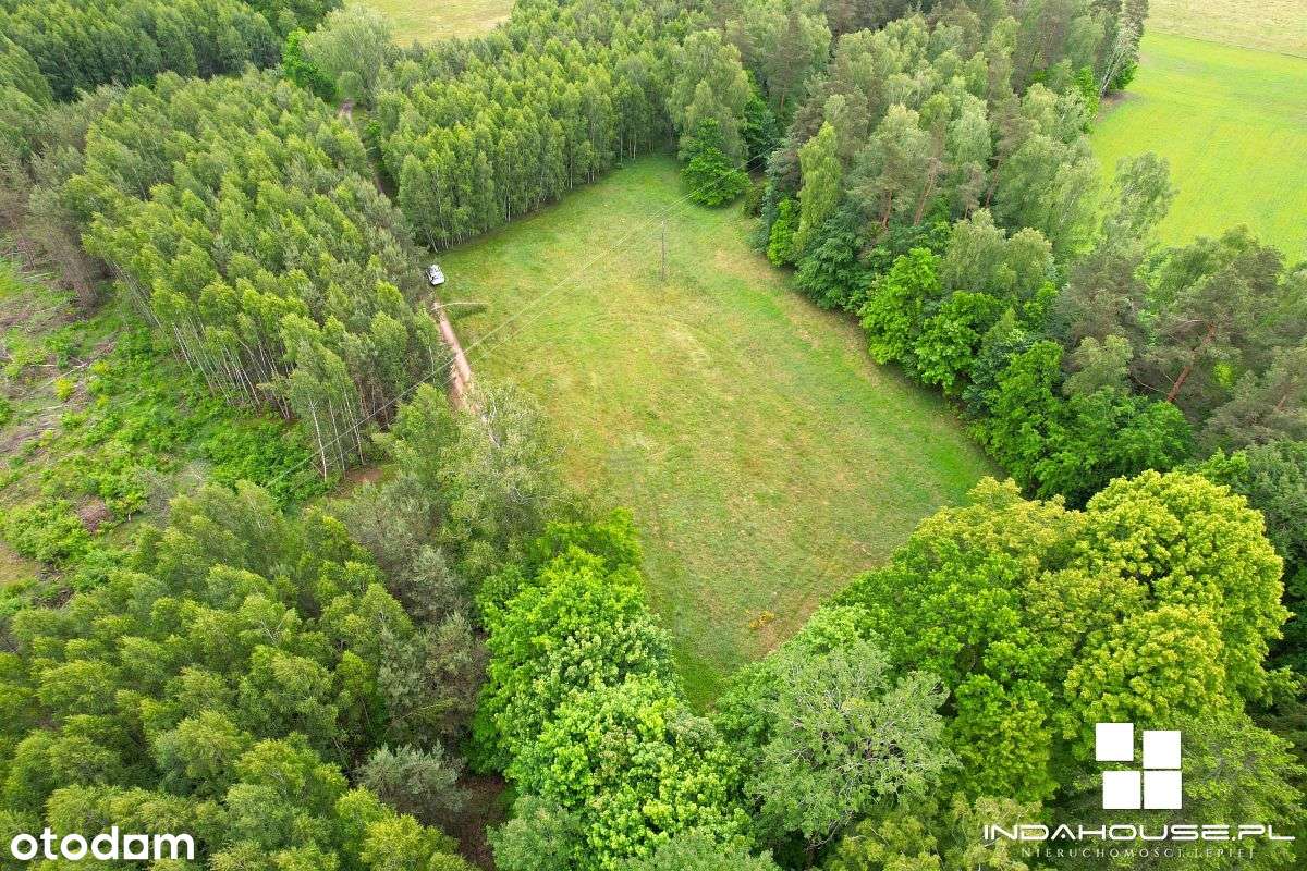 Działka budowlana z WZ, dookoła las - Pełny obrazek: 4/11