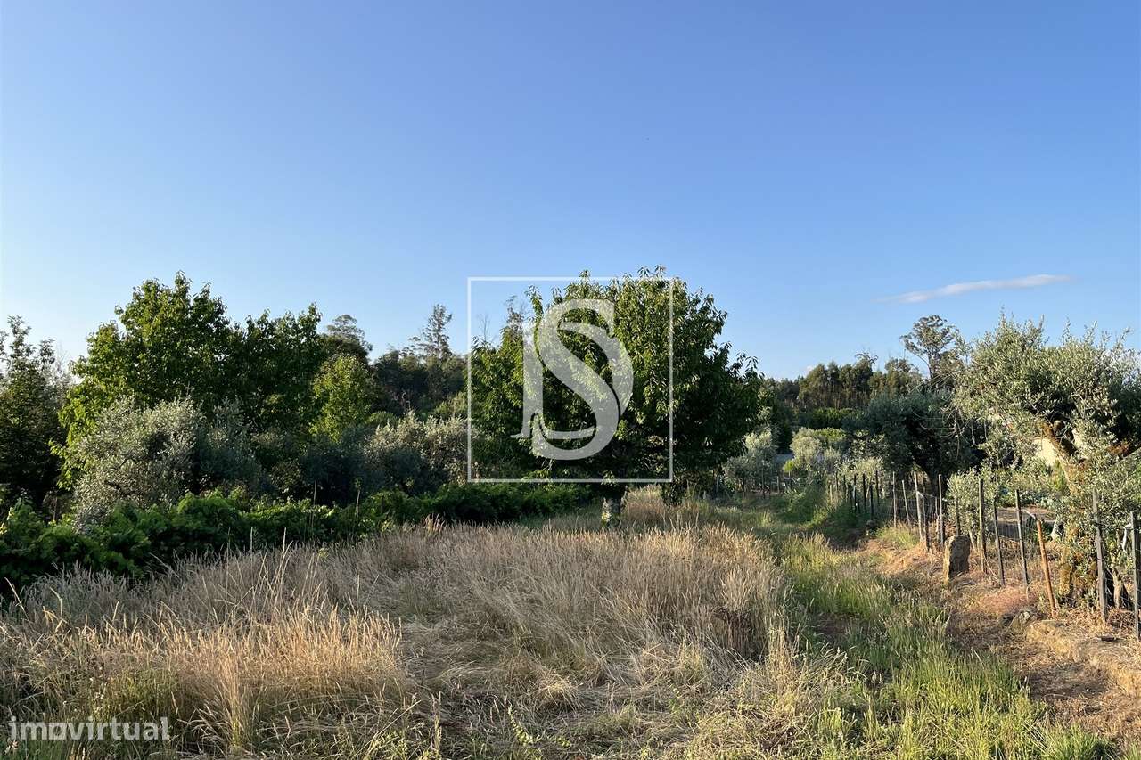 Terreno  Venda em Canas de Santa Maria,Tondela-4