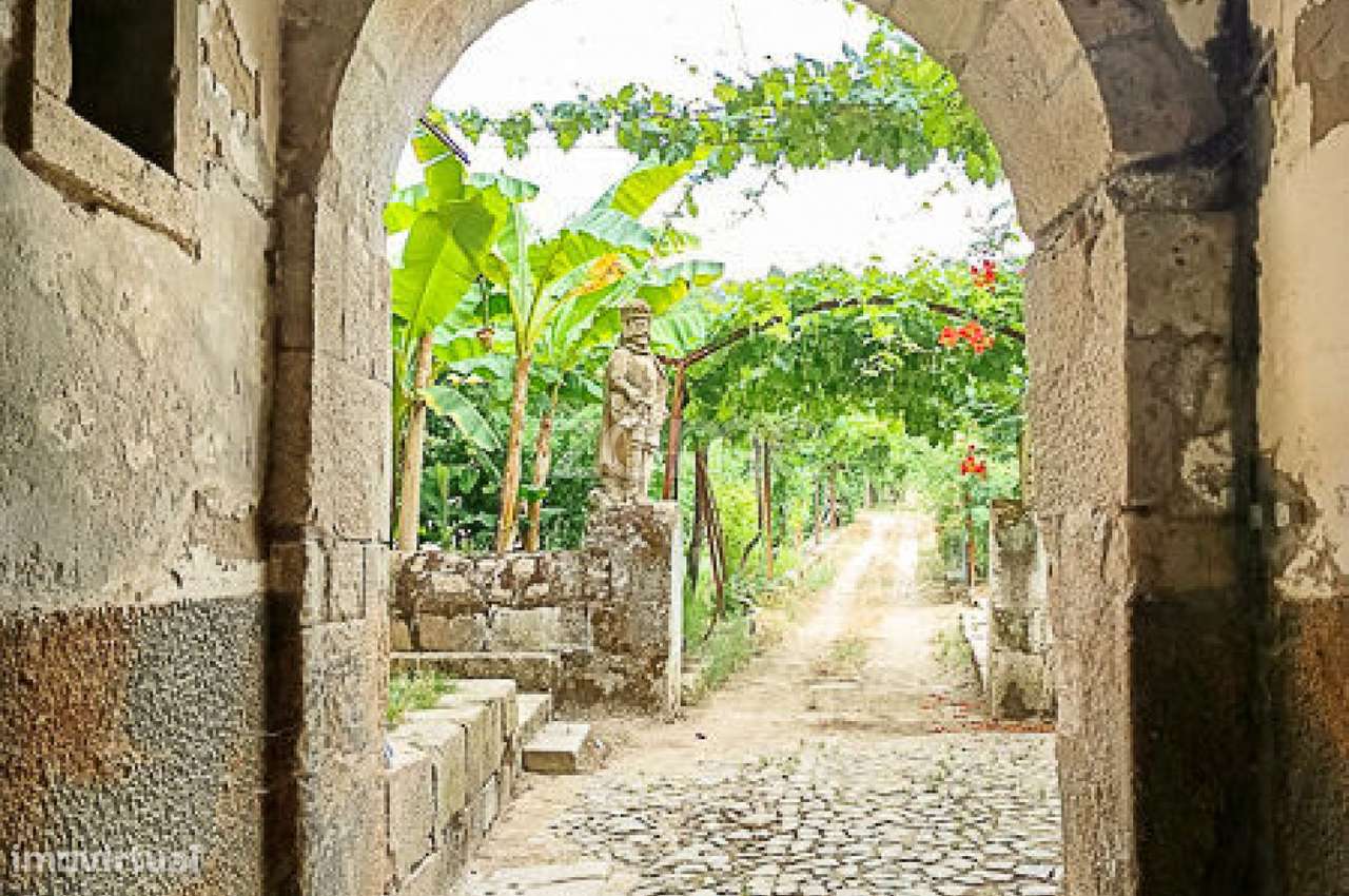 Quinta do Mosteiro de Salzedas com mais 17 ha e património histórico-7