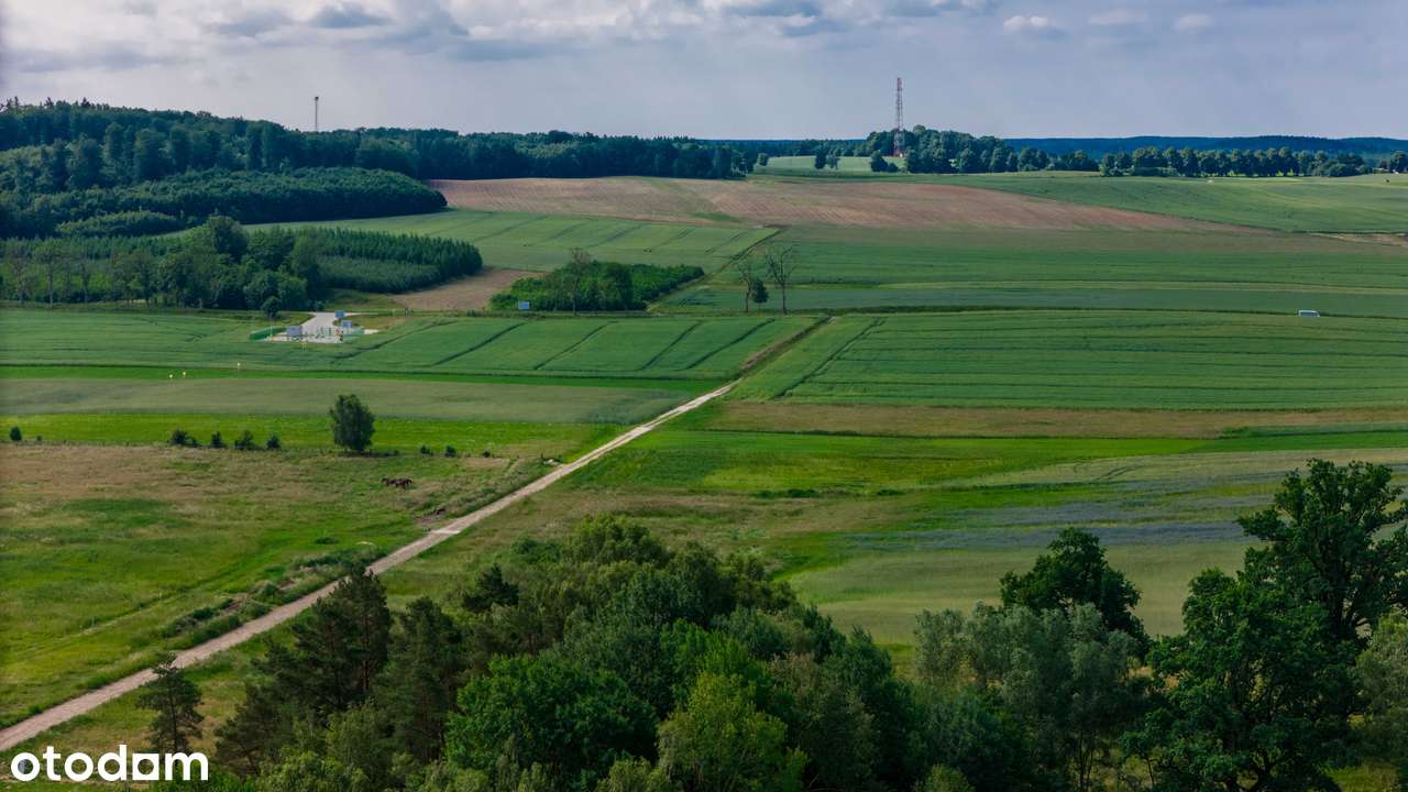 Działki blisko Gryfic z warunkami zabudowy, super cena!-7