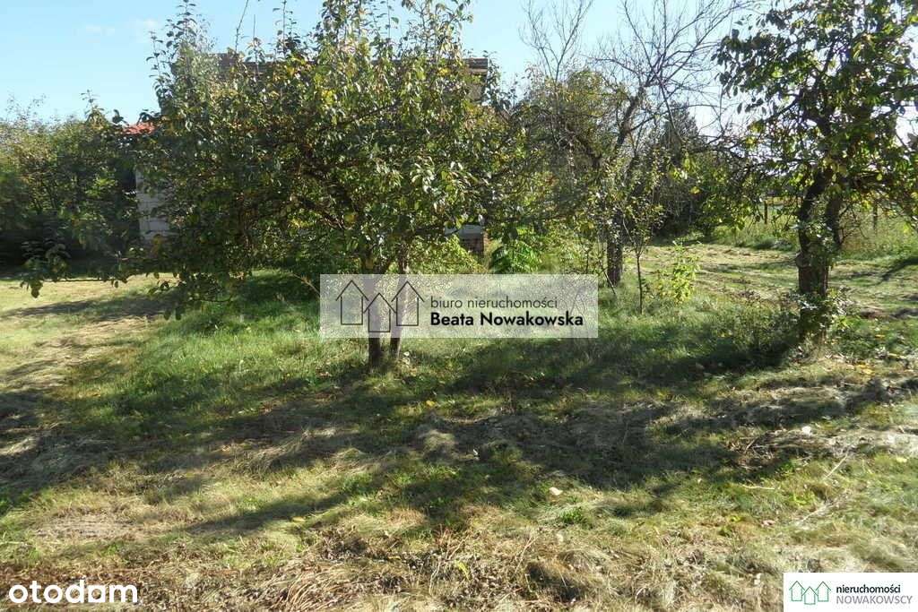 Działka, 7 591 m², Orkowo-11