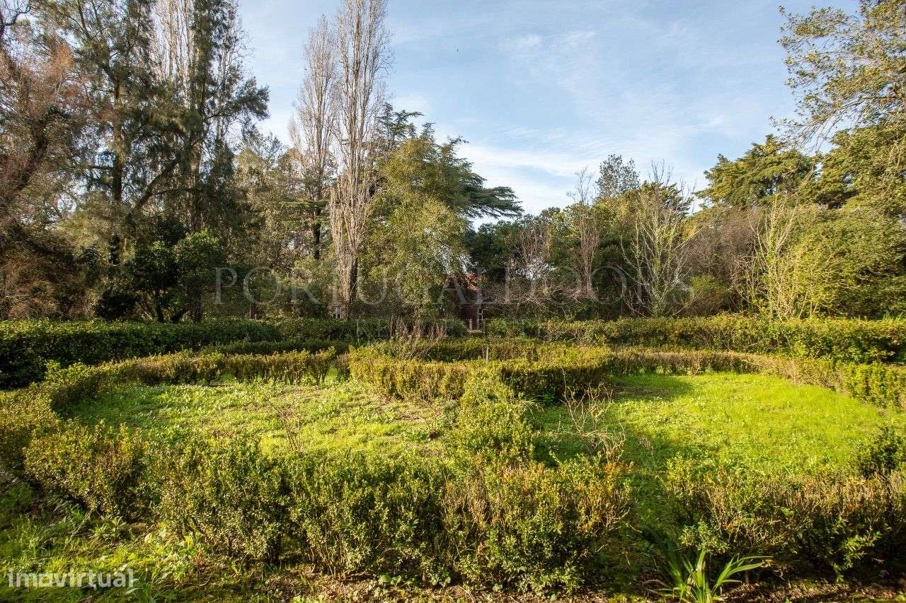 Quinta 5Ha em Azeitão-12