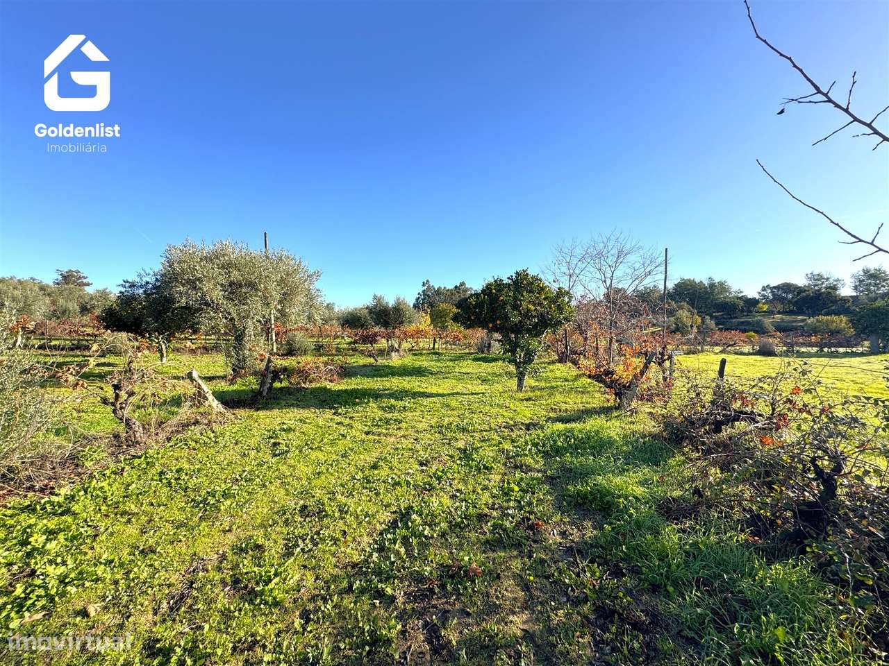 Quinta T3 Venda em Escalos de Cima e Lousa,Castelo Branco-54