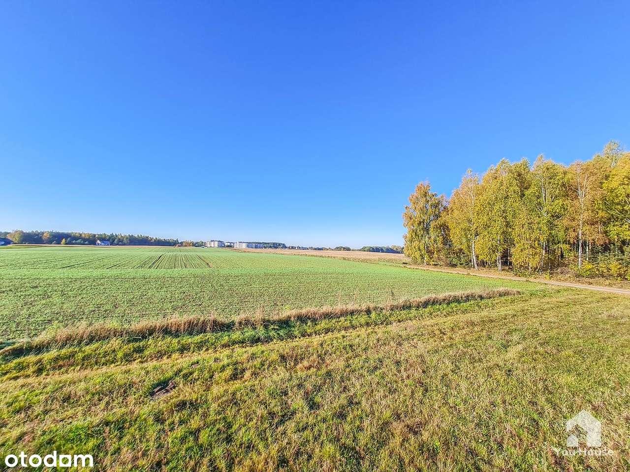 Działka budowlana blisko Jeziora - Rybno-9