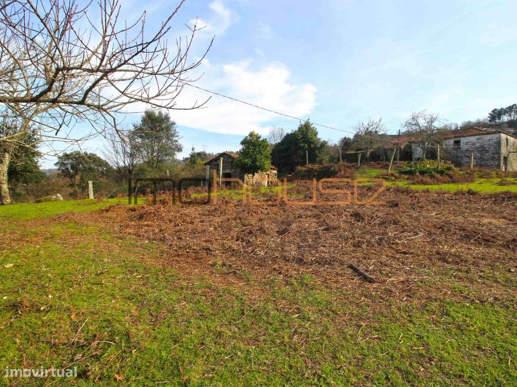 Quinta de 5.6 ha - Varias edificações, ribeiro e vista Douro - Grande imagem: 4/27