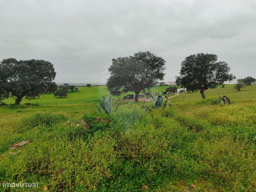 Terreno  para venda - Grande imagem: 3/6