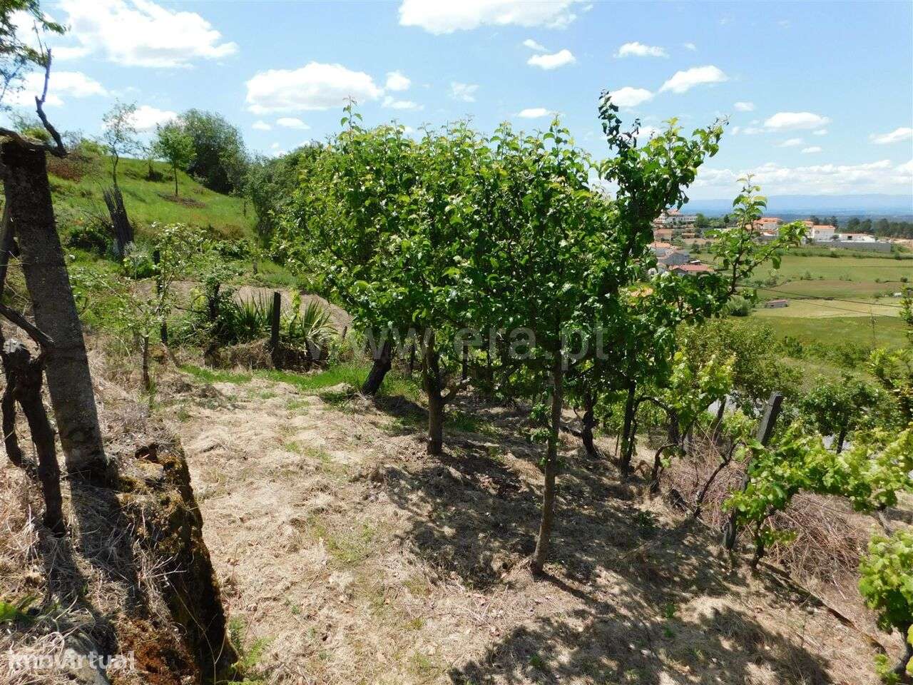 Terreno Rústico / Seia, São Romão - Grande imagem: 5/7