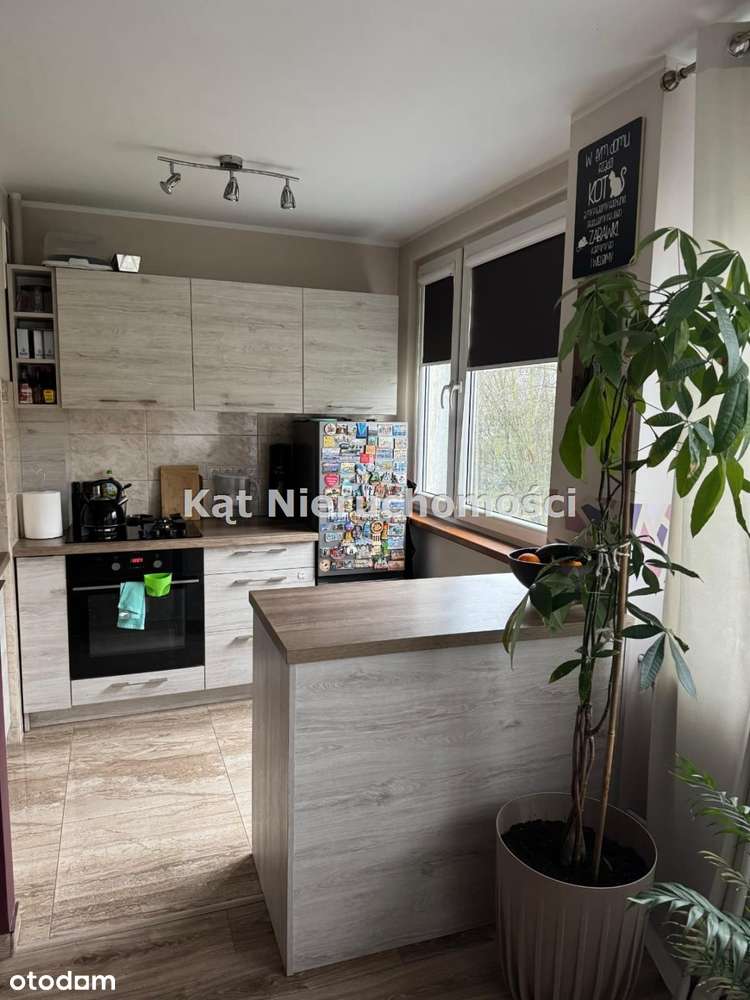 Psie-Pole - 2 pokojowe mieszkanie do sprzedania-7