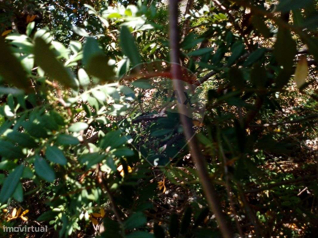 Terreno T0 para venda - Grande imagem: 3/9