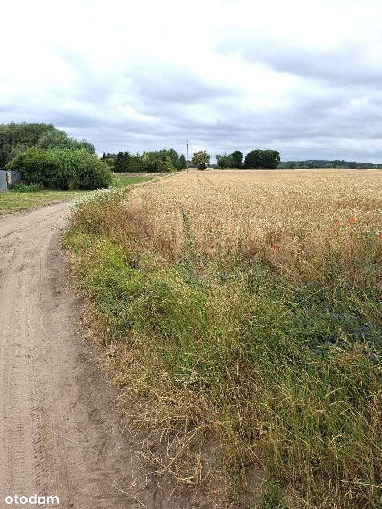 Działka, 985 m², Grzebienisko-1