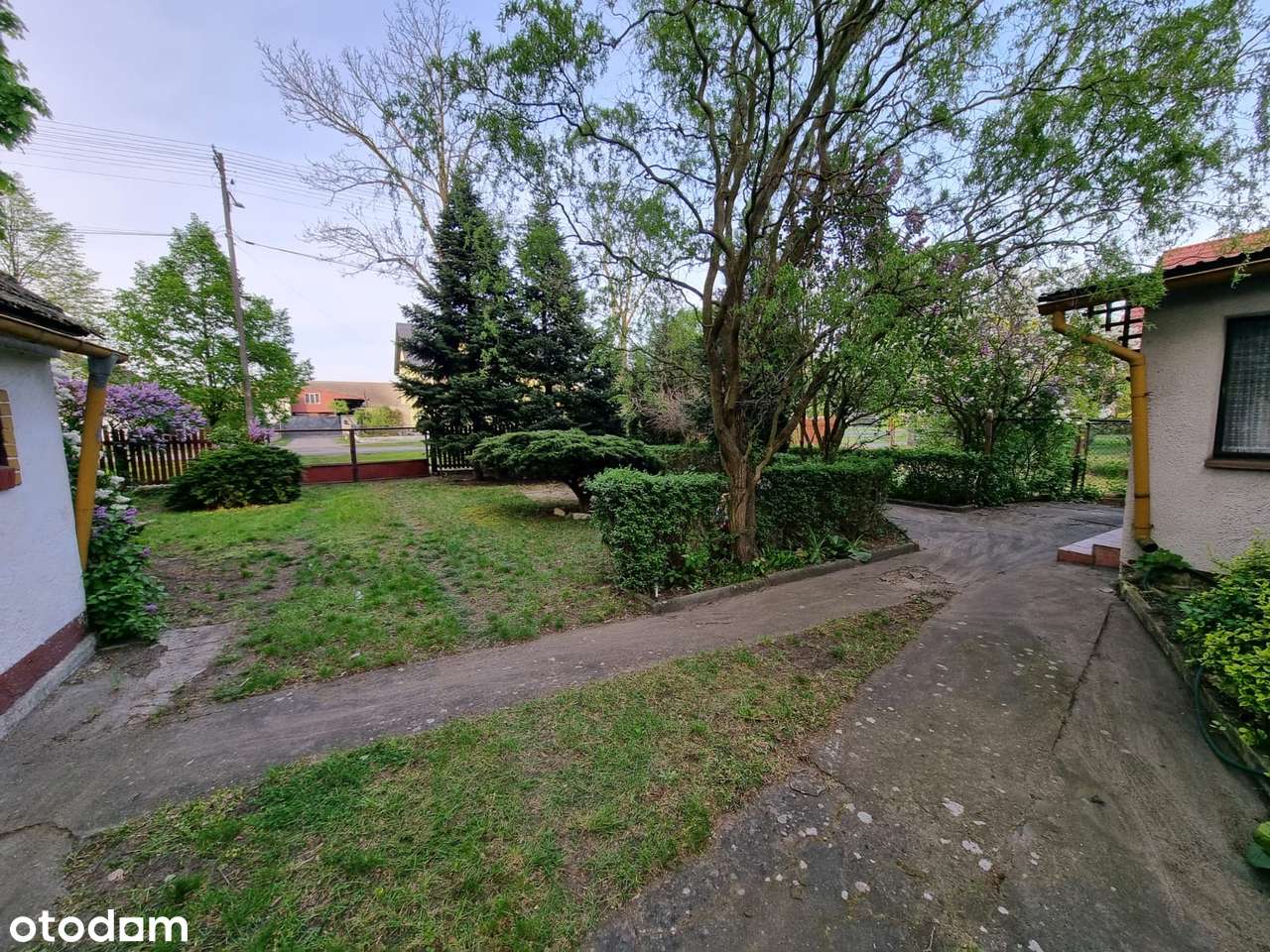 Dom do remontu na dużej działce - Suchy Bór - Pełny obrazek: 4/13