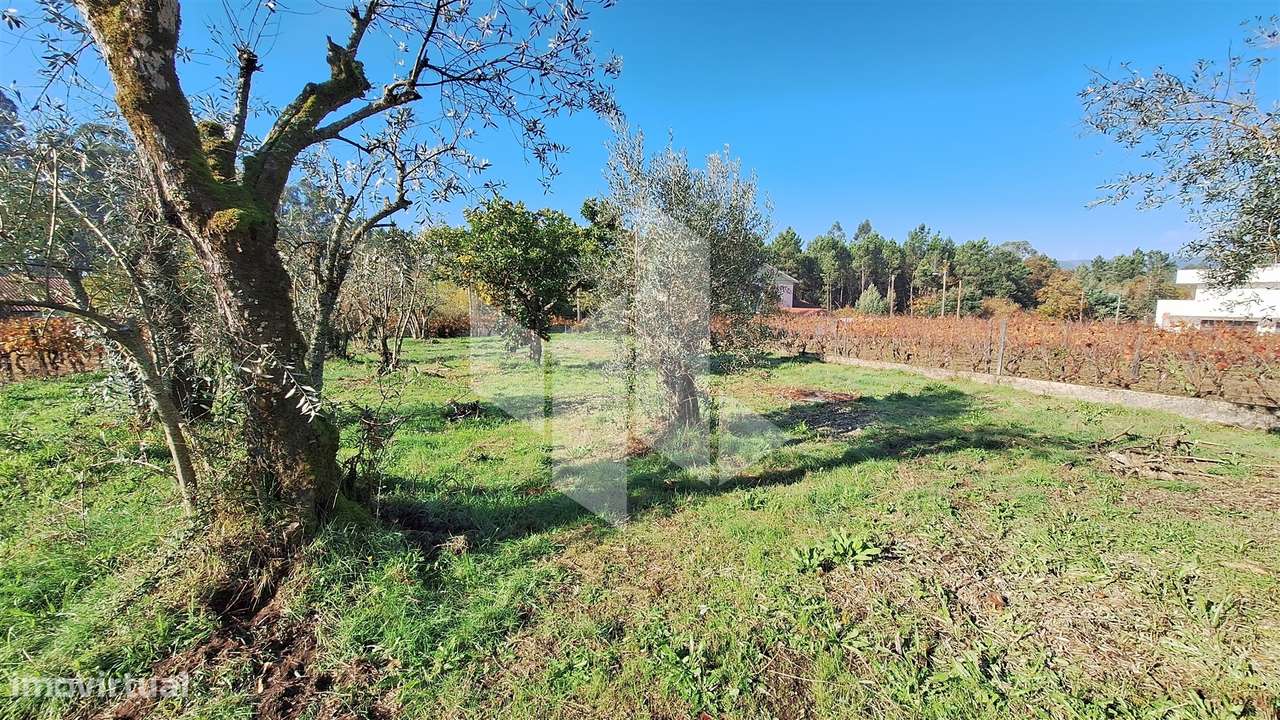 Moradia Devoluta T1 Venda em Molelos,Tondela - Grande imagem: 5/19