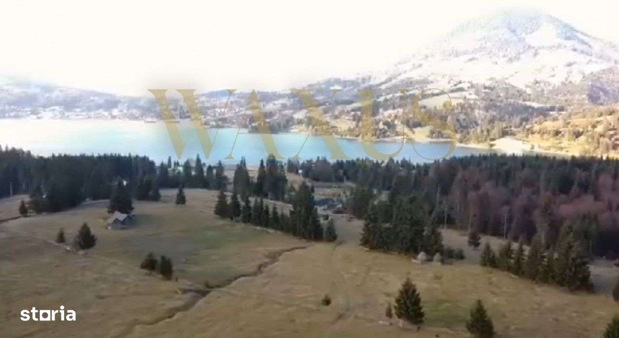 Teren intravilan / utilitati / vedere spre lac ,29 de ari - Imagine principală: 1/3