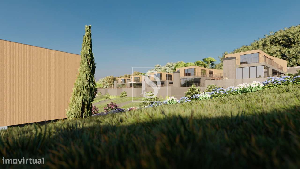 Terreno para 6 lotes  em Afife-21