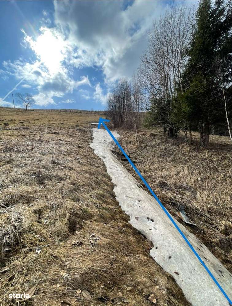 Teren Cu Potential De Dezvoltare În ZONA TURISTICĂ MAGURA-PESTERA-12